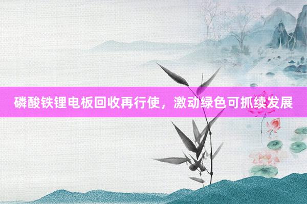 磷酸铁锂电板回收再行使，激动绿色可抓续发展